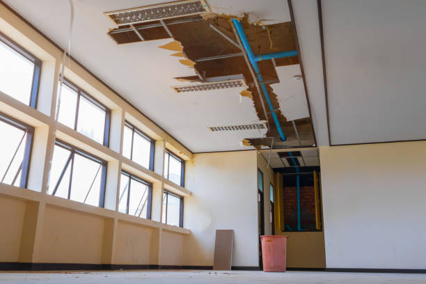 Best Emergency water damage restoration  in Lake Park, IA
