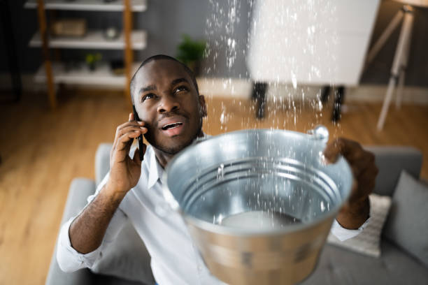 Best Ceiling water damage repair  in Lake Park, IA