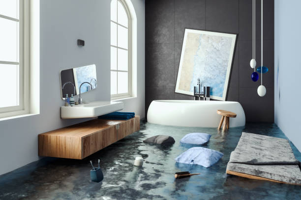 Best Water damage cleanup near me  in Lake Park, IA