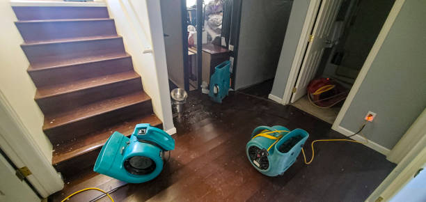 Best Water damage contractors near me  in Lake Park, IA