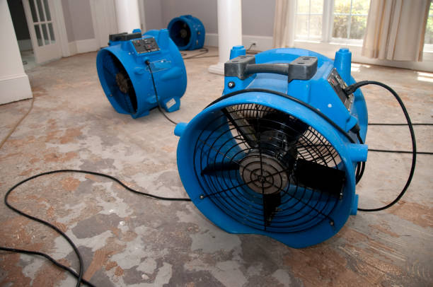 Best Commercial water damage restoration  in Lake Park, IA