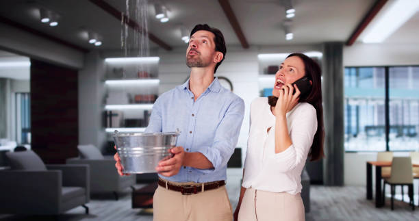 Best Flood damage cleanup  in Lake Park, IA